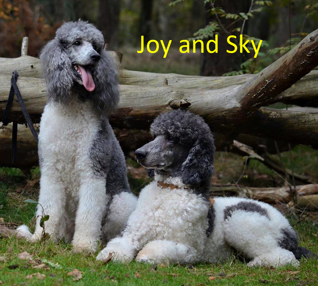 Joy-and-Skye-with-text